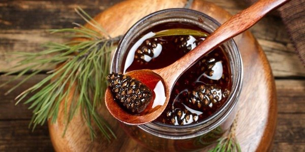 PINE CONE JAM – μοναδικές ιδιότητες